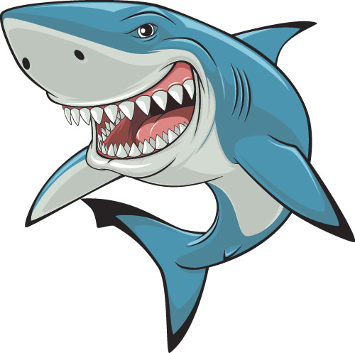 Ilustrační obrázek žraloka
